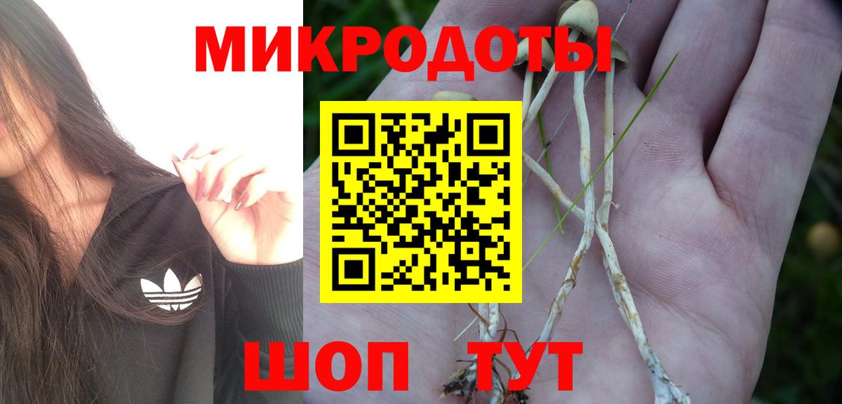 Псилоцибиновые грибы MAGIC MUSHROOMS Избербаш